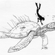 Illustration for article titled Both Halves Of A Giant Sea Turtle Fossil Found 160 Years Apart